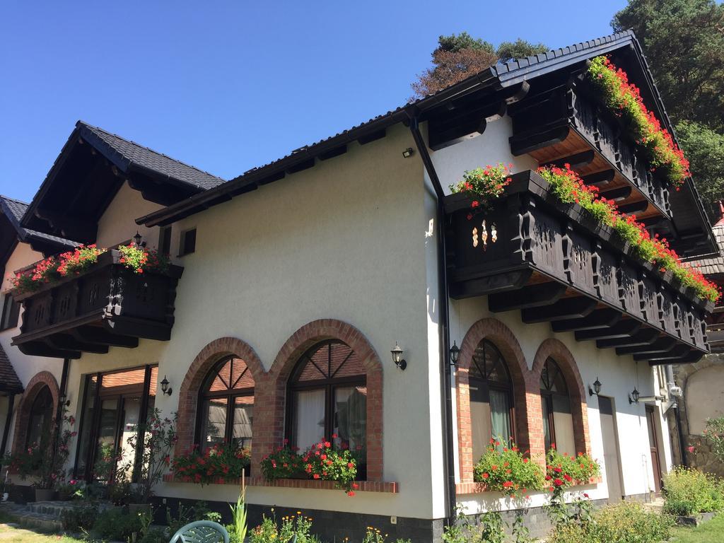 Hotel Casa Stefania Tălmaciu Exterior foto
